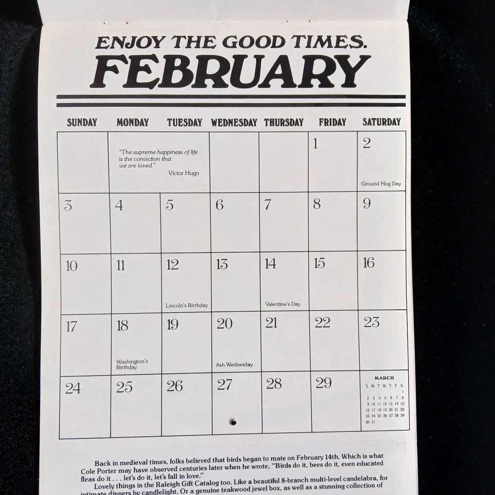 Vintage 1980 RALEIGH Lights CIGARETTES Country Store Calendar Advertising Sign